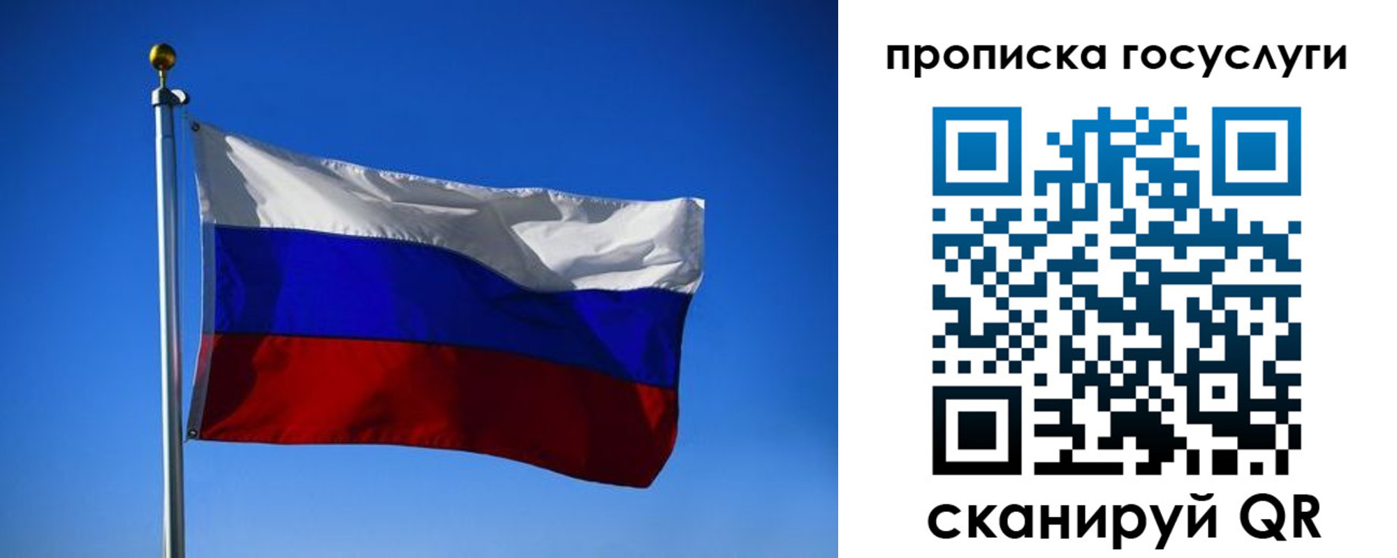 временная регистрация госуслуги в Ельне